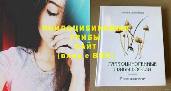 соль курить ск Абдулино