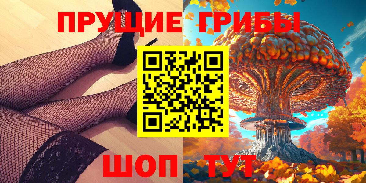 Псилоцибиновые грибы Psilocybe Новочеркасск