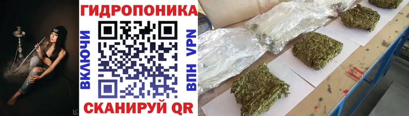 Каннабис сатива  наркота  kraken маркетплейс  Новочеркасск 
